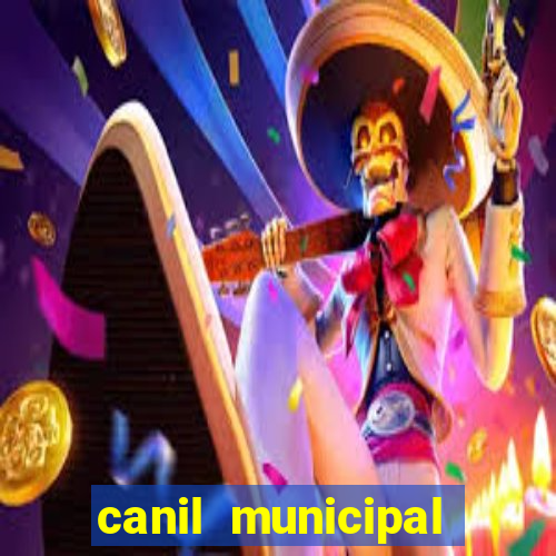 canil municipal porto alegre